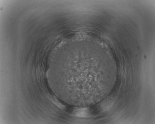 X0000063460081200601271615