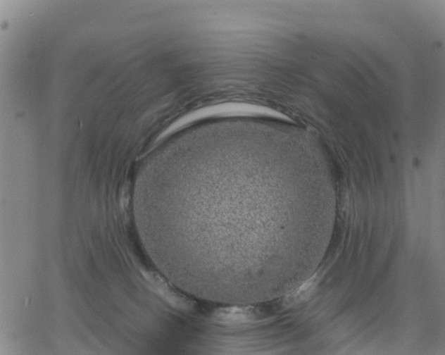 X0000063460082200601271615