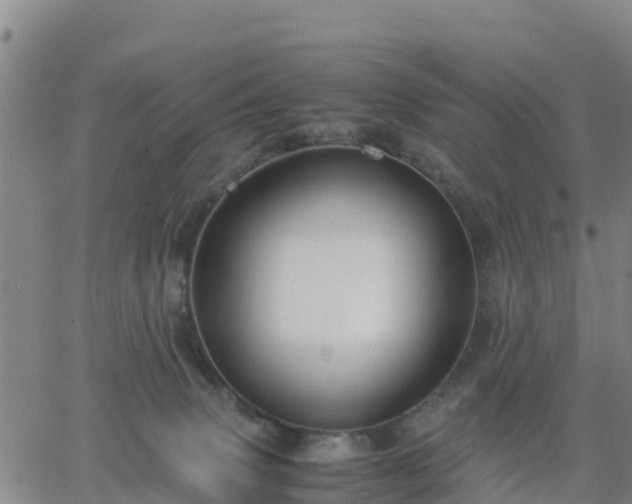 X0000063460083200601271615