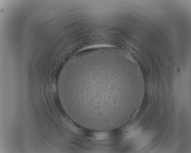 X0000063460085200601271615