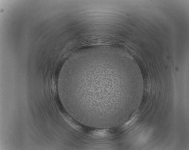 X0000063460086200601271615