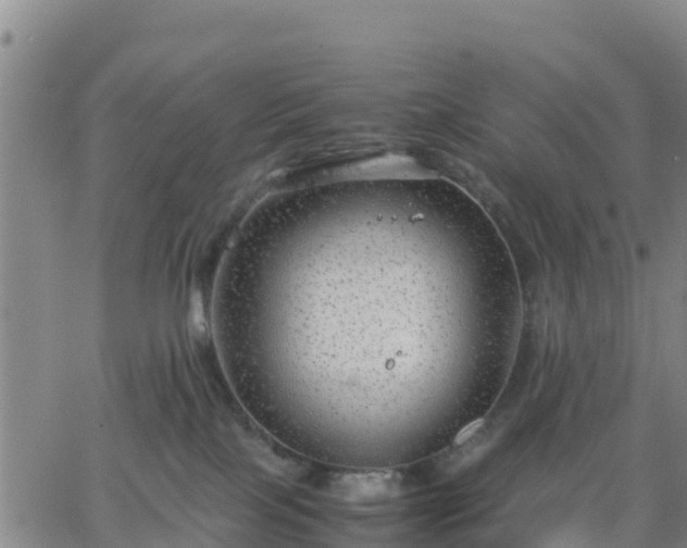 X0000063460089200601271615