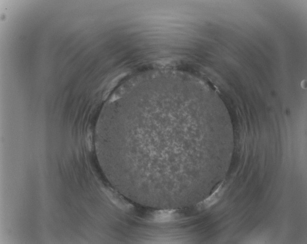 X0000063460090200601271615