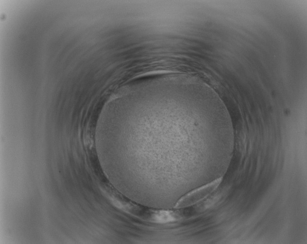 X0000063460091200601271615