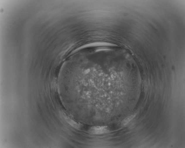 X0000063460093200601271615