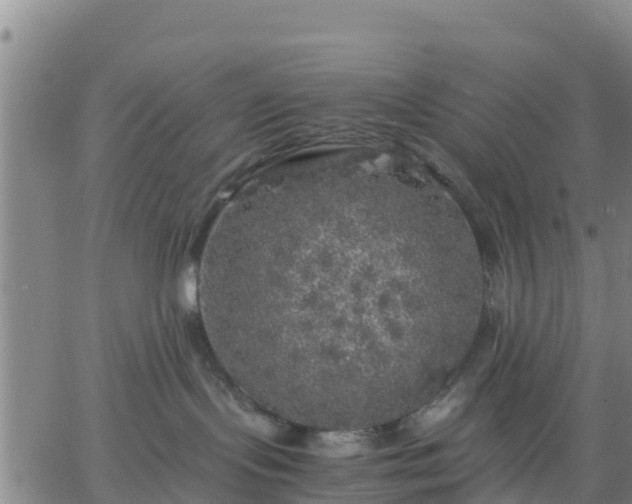 X0000063460095200601271615