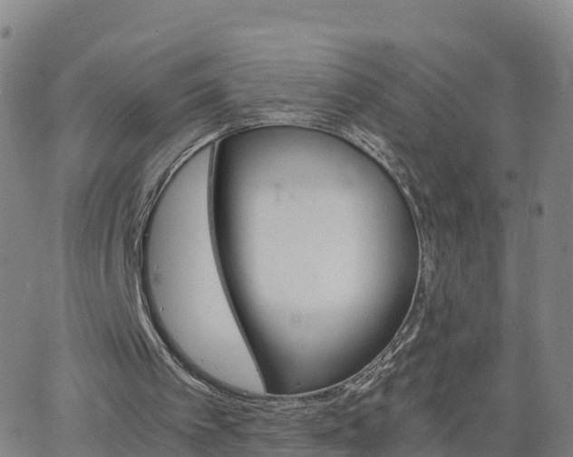 X0000063460097200601271614