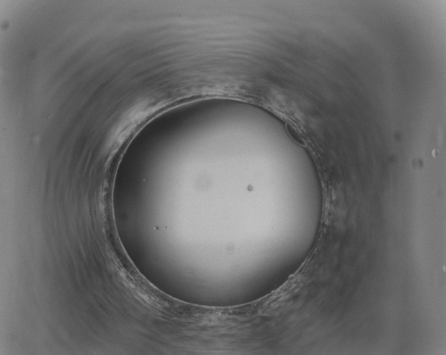 X0000063460098200601271614