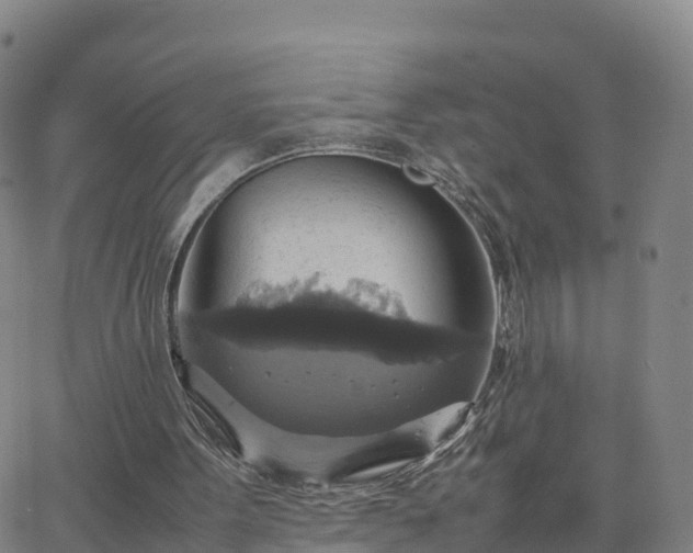 X0000063460099200601271614