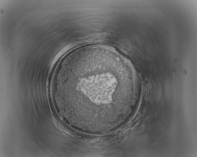 X0000063460100200601271614