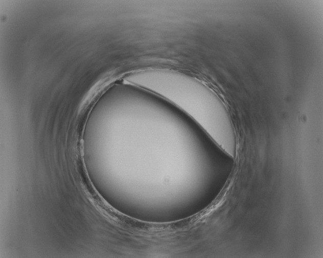 X0000063460101200601271614