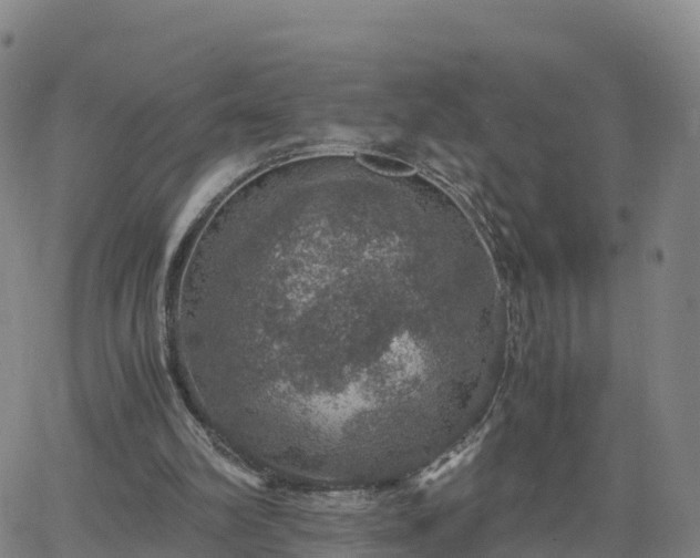 X0000063460102200601271614