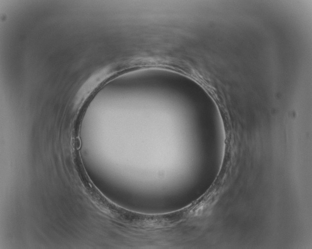 X0000063460103200601271614