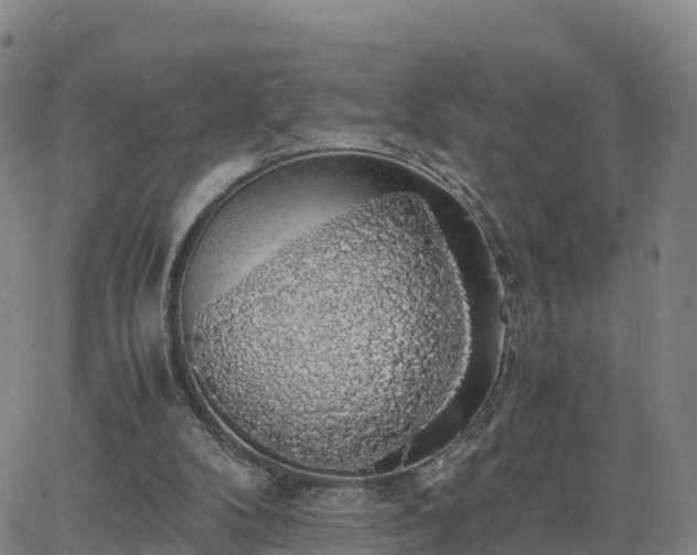 X0000063460104200601271614