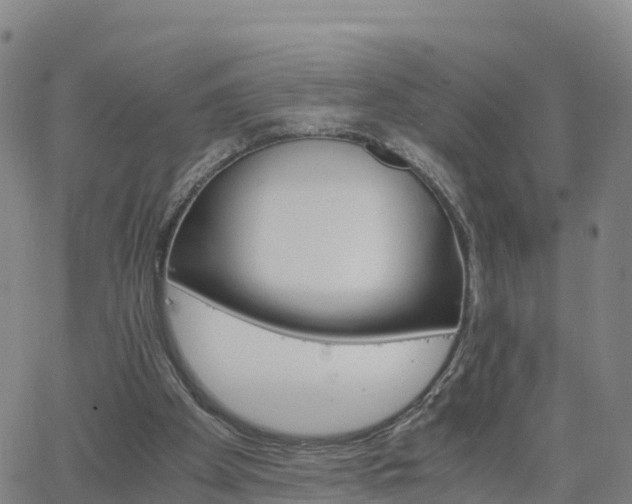 X0000063460105200601271614