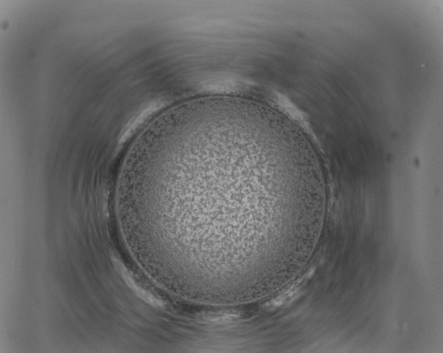 X0000063460106200601271614