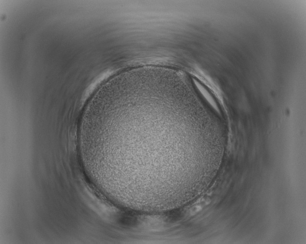 X0000063460107200601271614