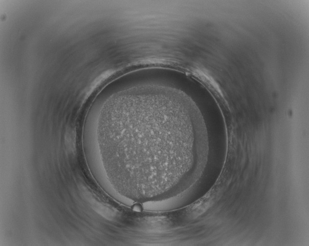 X0000063460108200601271614