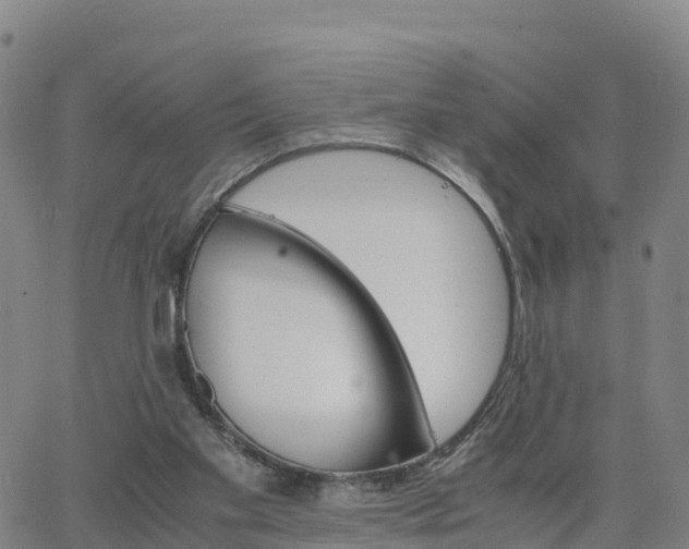 X0000063460109200601271614