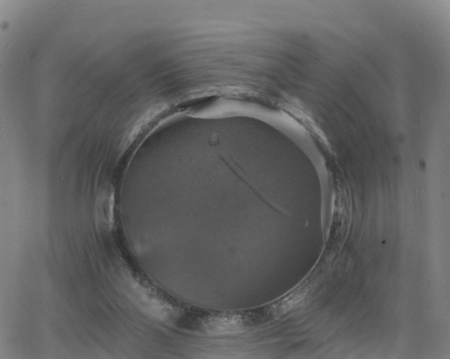 X0000063460110200601271614