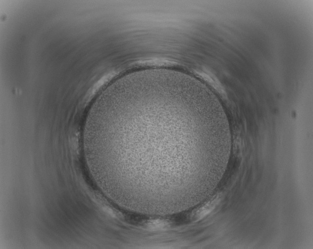 X0000063460111200601271614