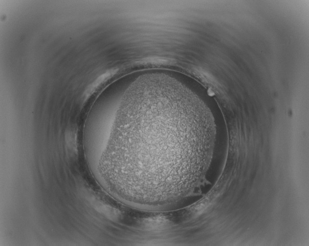 X0000063460112200601271614