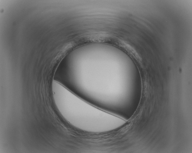 X0000063460113200601271614