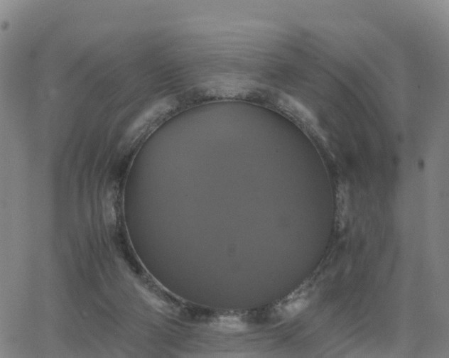 X0000063460114200601271614