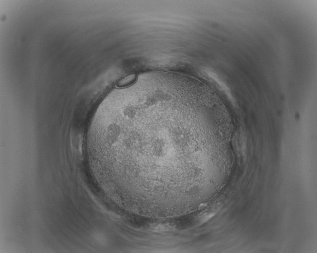 X0000063460115200601271614