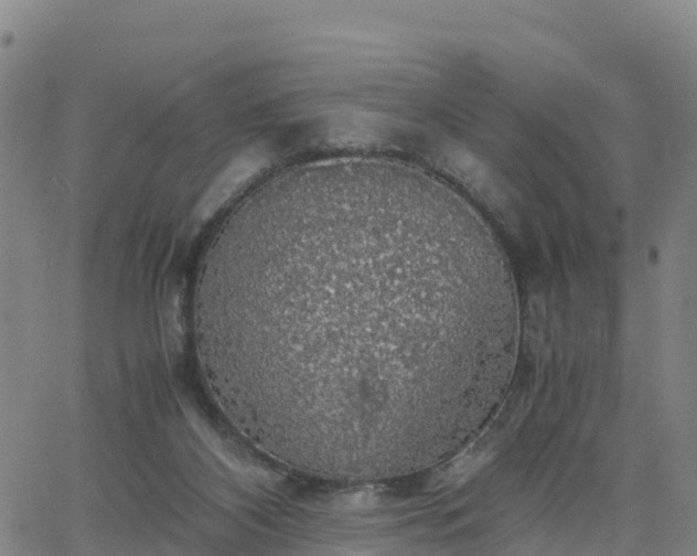 X0000063460116200601271614