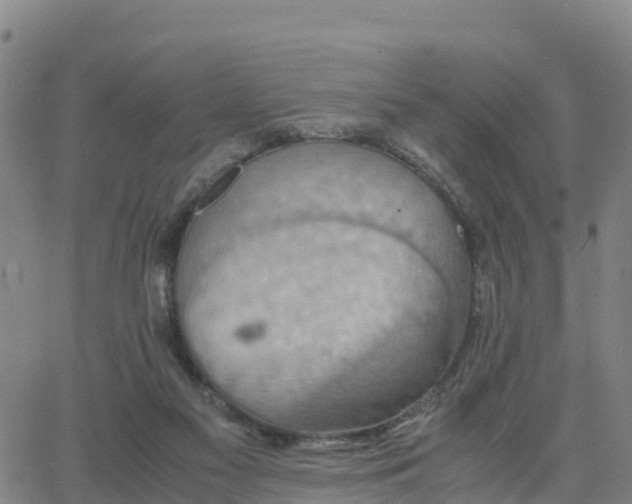 X0000063460117200601271614