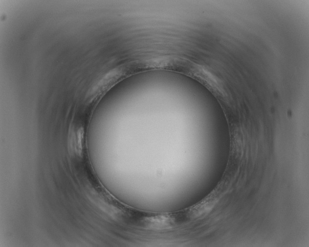 X0000063460118200601271614