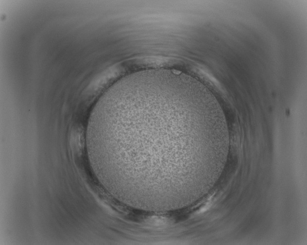 X0000063460119200601271614