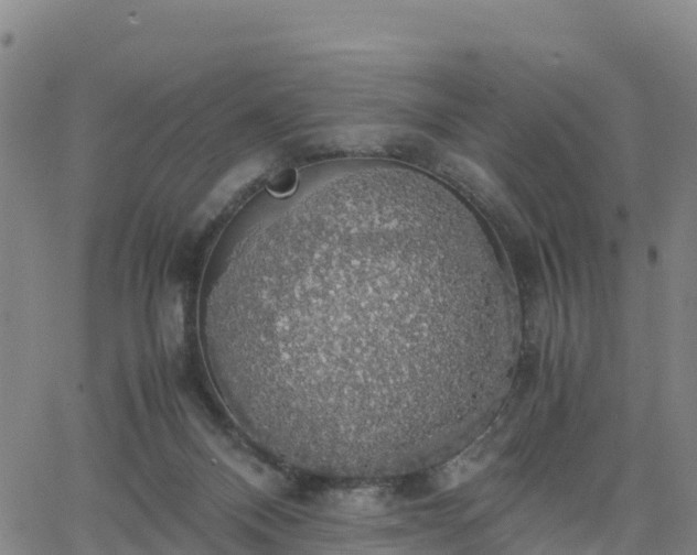 X0000063460120200601271614