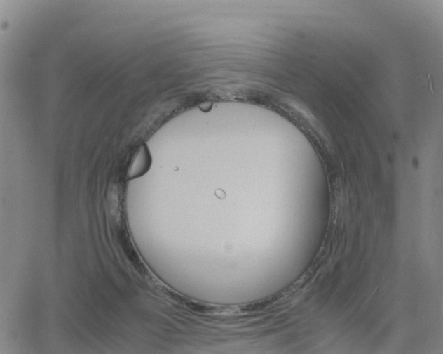 X0000063460121200601271614