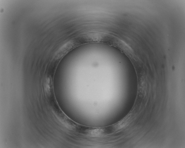 X0000063460122200601271614