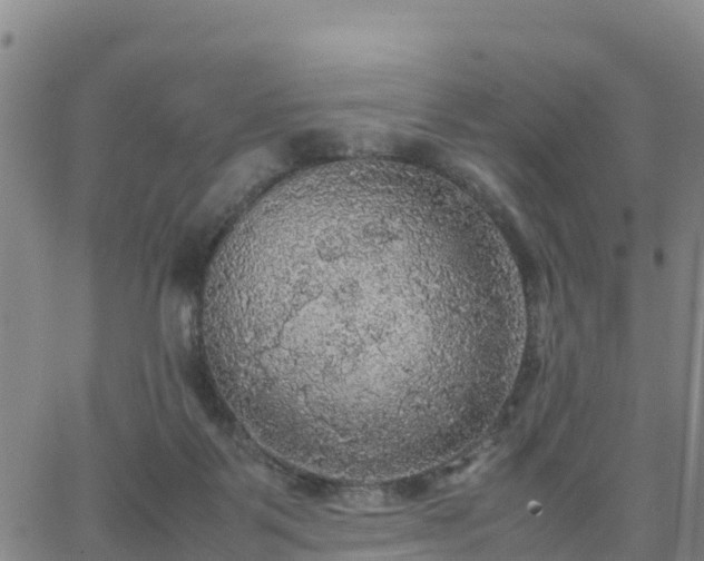 X0000063460123200601271614