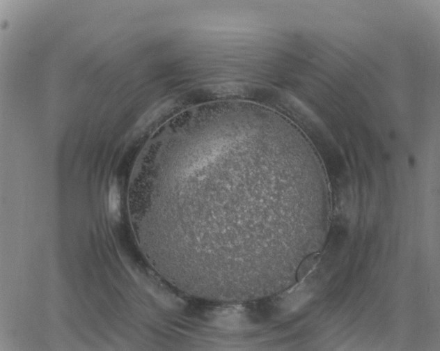 X0000063460124200601271614