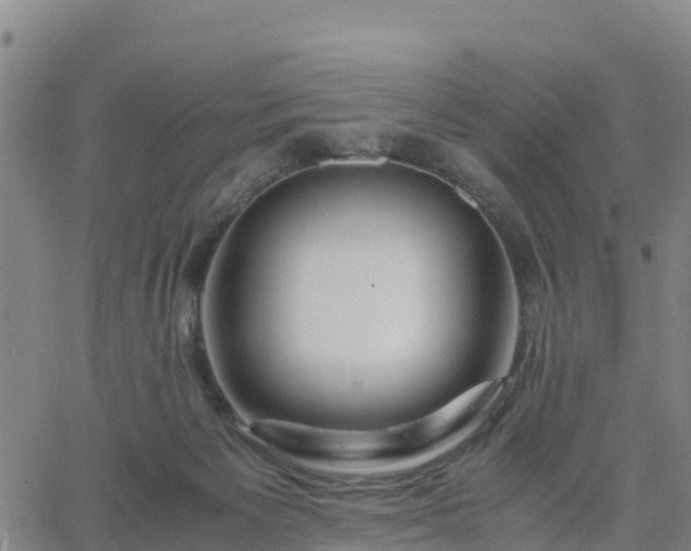 X0000063460125200601271614