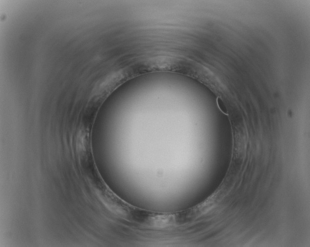 X0000063460126200601271614