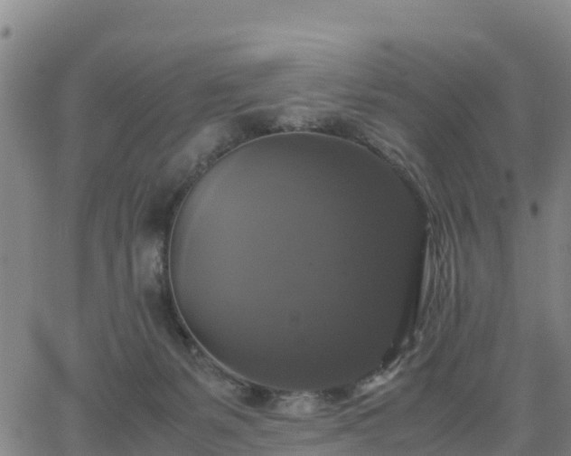 X0000063460127200601271614