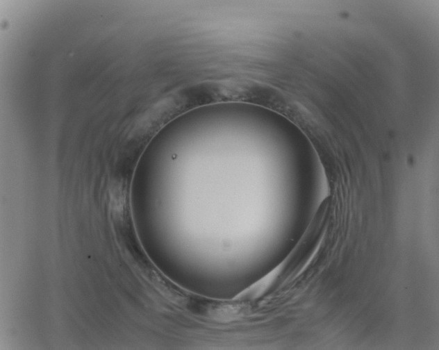 X0000063460129200601271614