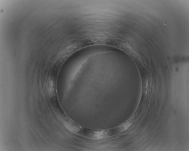 X0000063460130200601271614