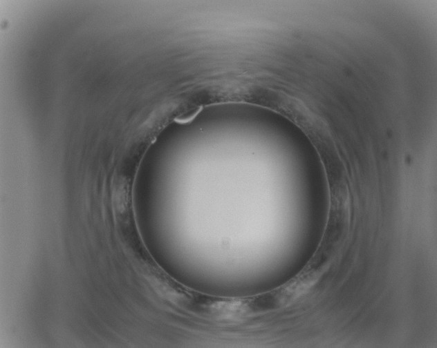 X0000063460133200601271614