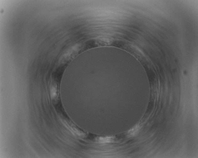 X0000063460134200601271614