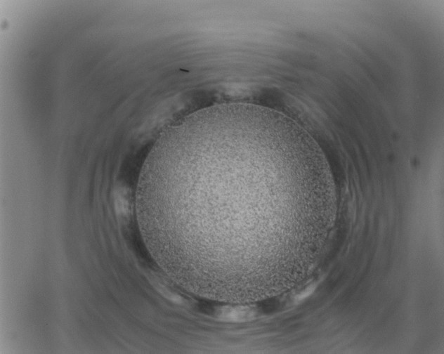 X0000063460135200601271614