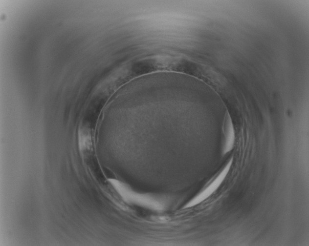 X0000063460137200601271614