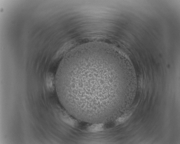 X0000063460138200601271614