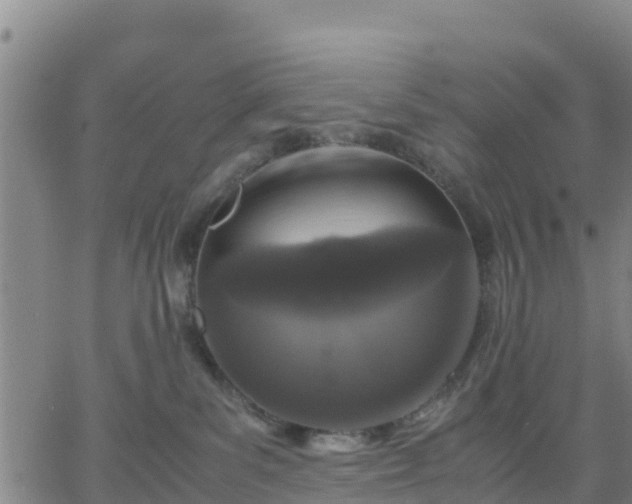 X0000063460139200601271614