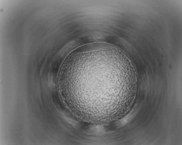 X0000063460140200601271614